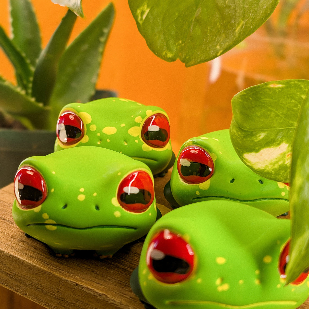 Amphibians