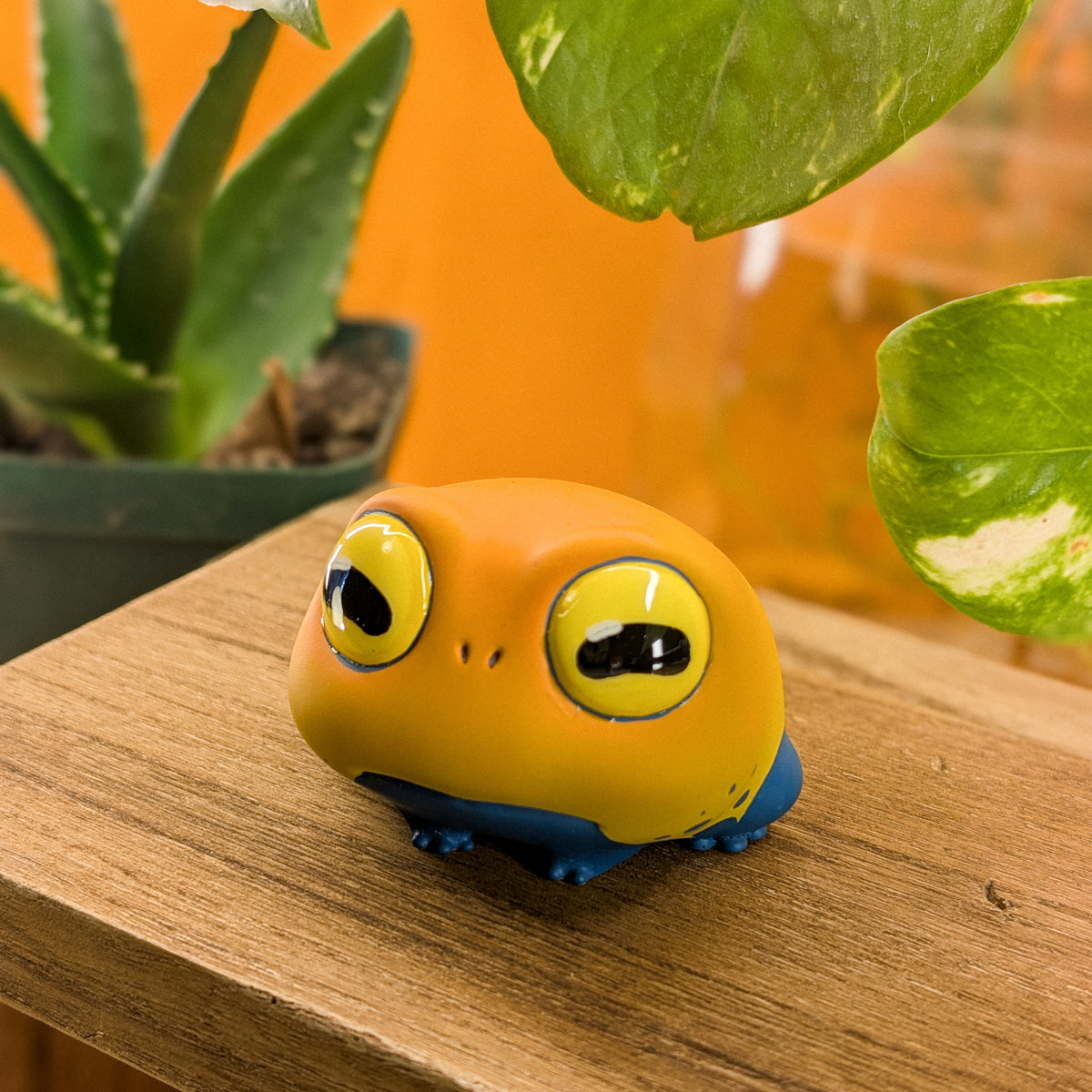 Sprout DartFrog · Pocket