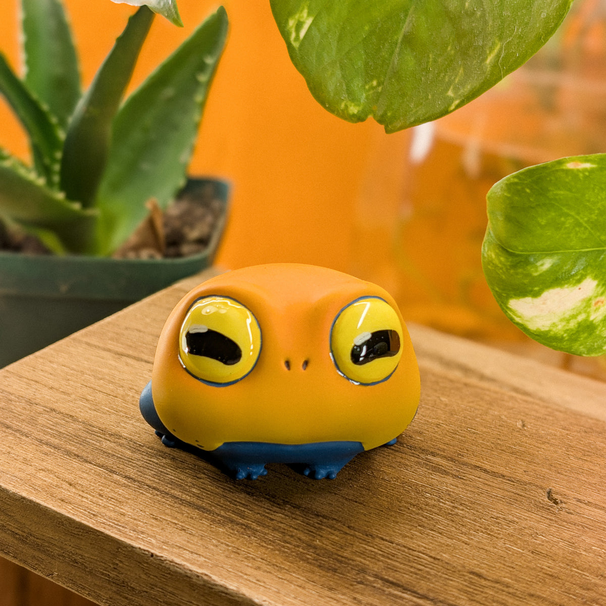 Sprout DartFrog · Pocket