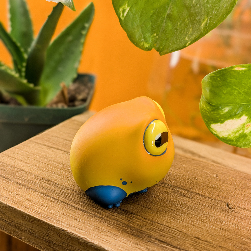 Sprout DartFrog · Poche