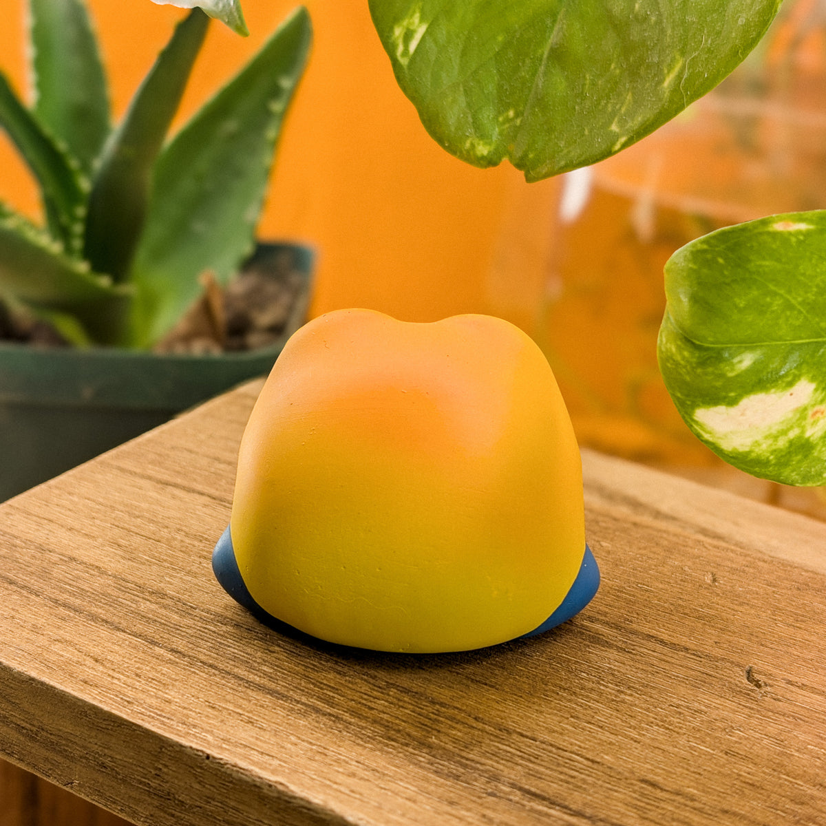 Sprout DartFrog · Pocket