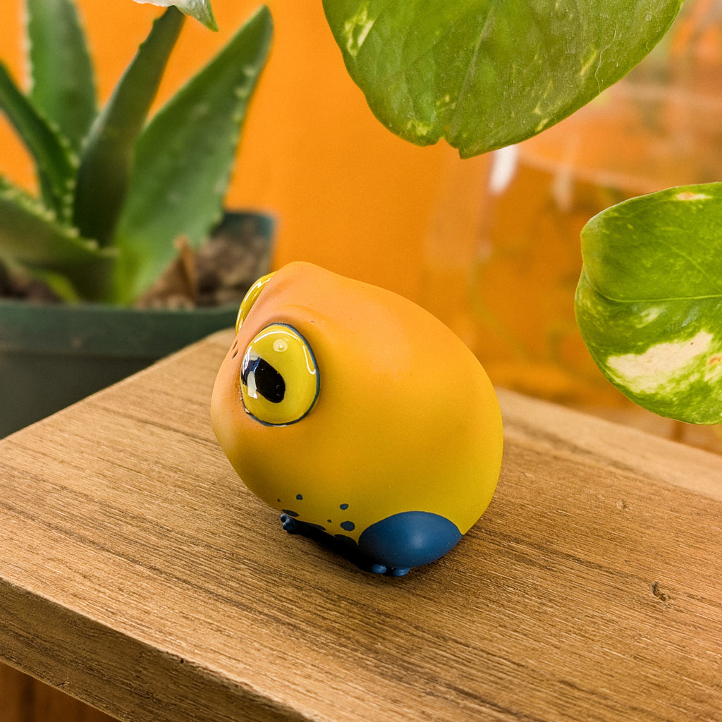 Sprout DartFrog · Poche
