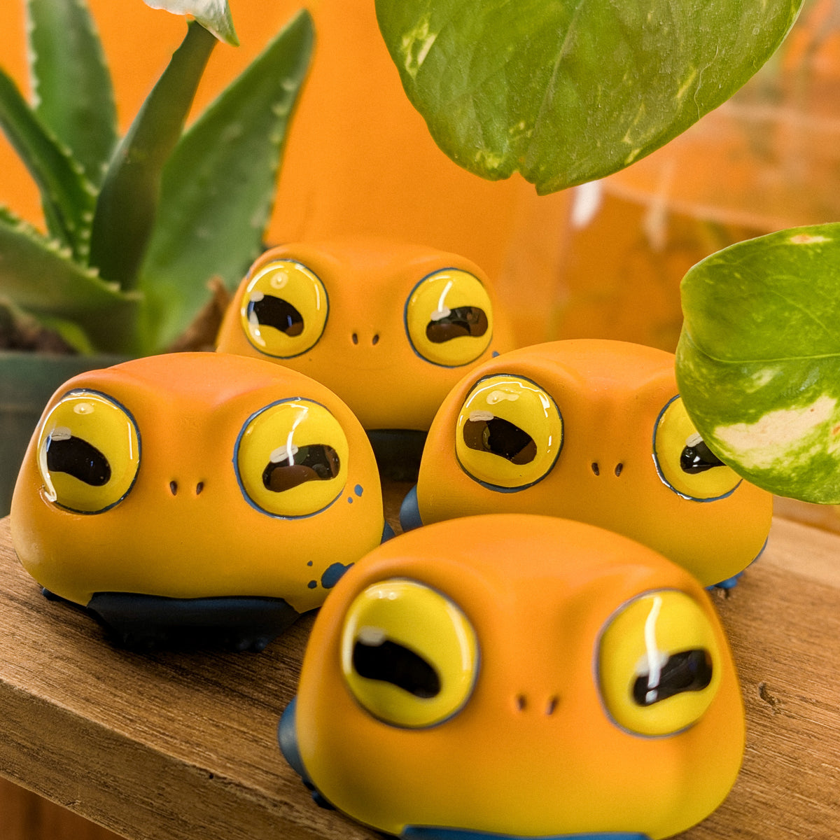 Sprout DartFrog · Poche