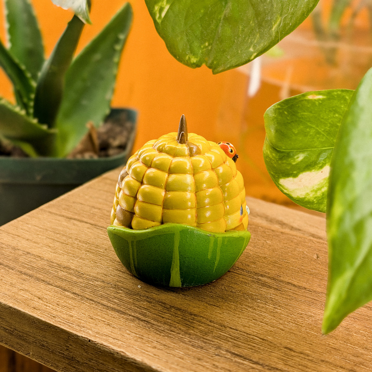 Cob Mais · Pocket