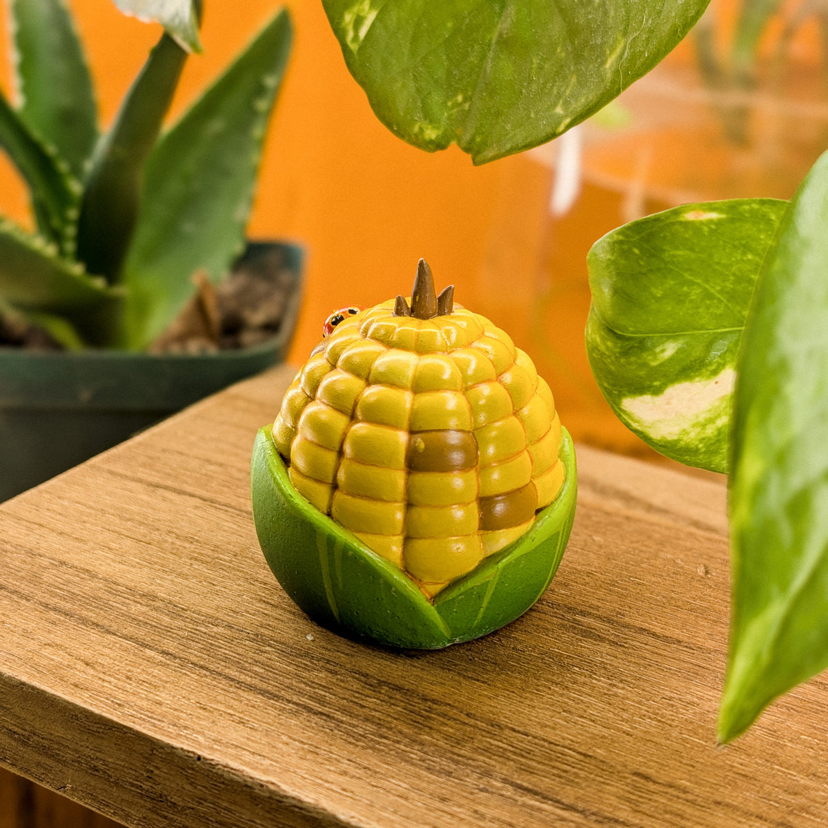 Cob Mais · Pocket