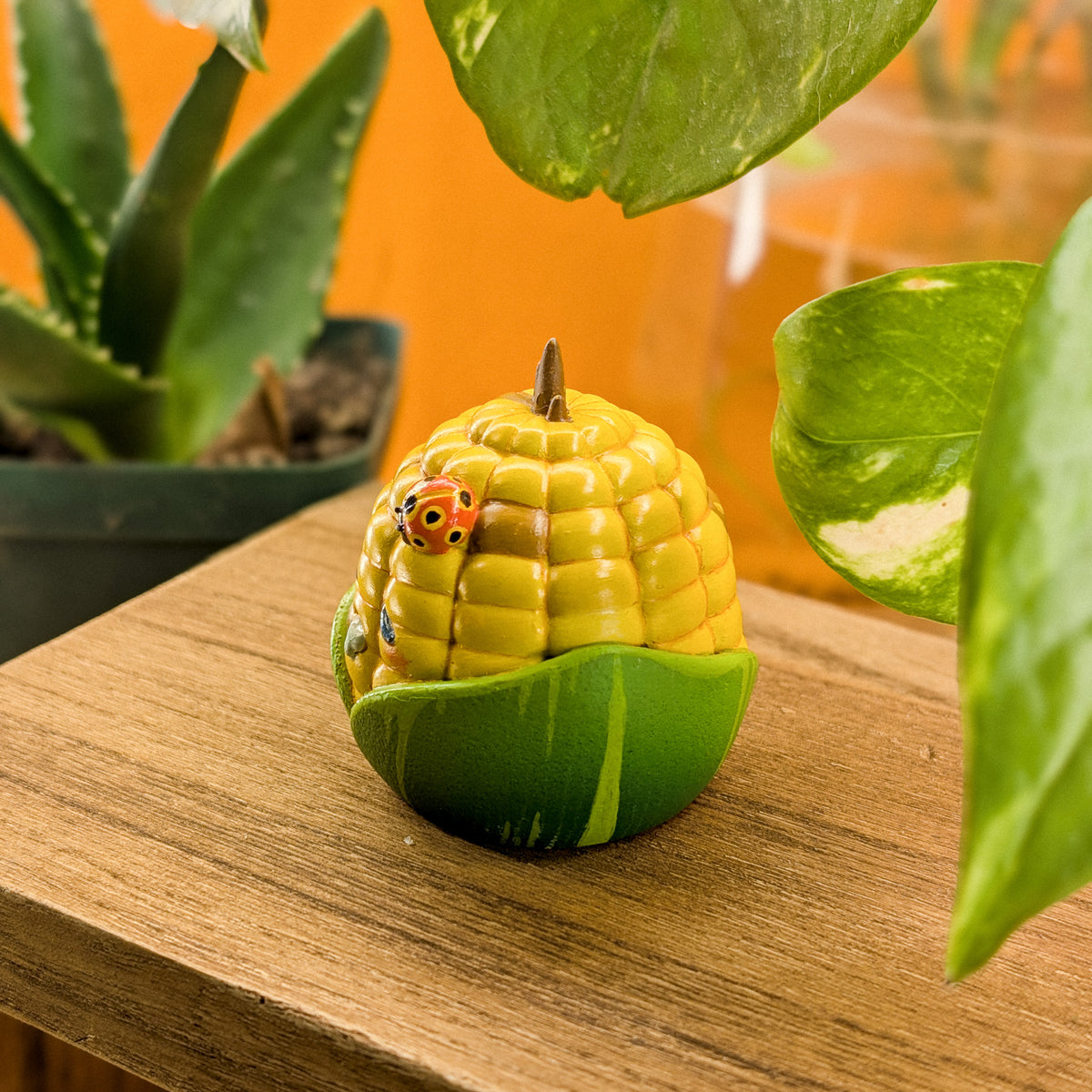 Cob Mais · Pocket