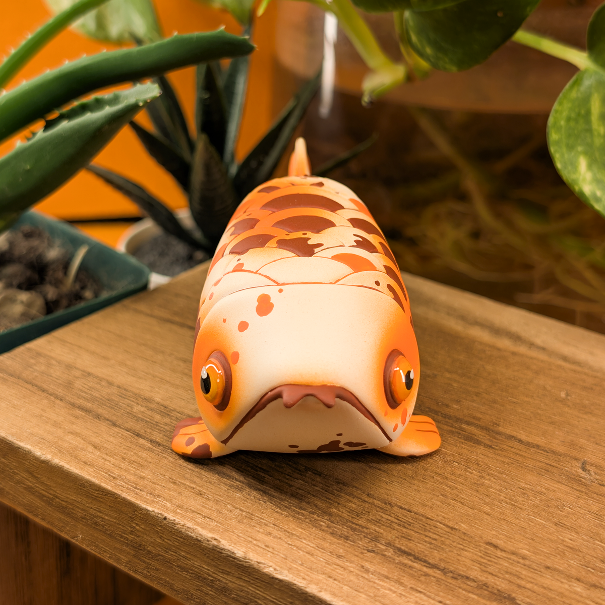 Orange Arowy · Standard