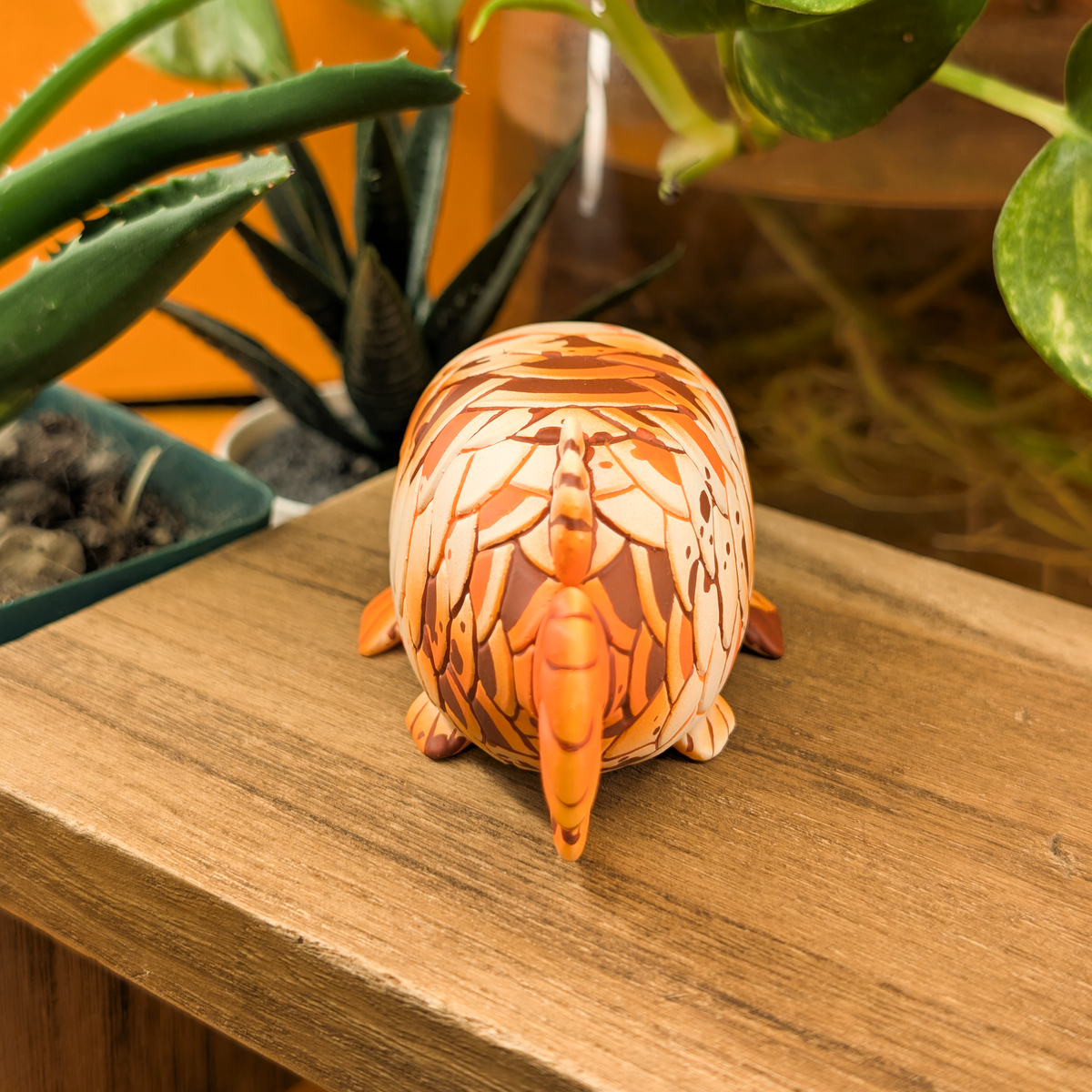 Orange Arowy · Standard