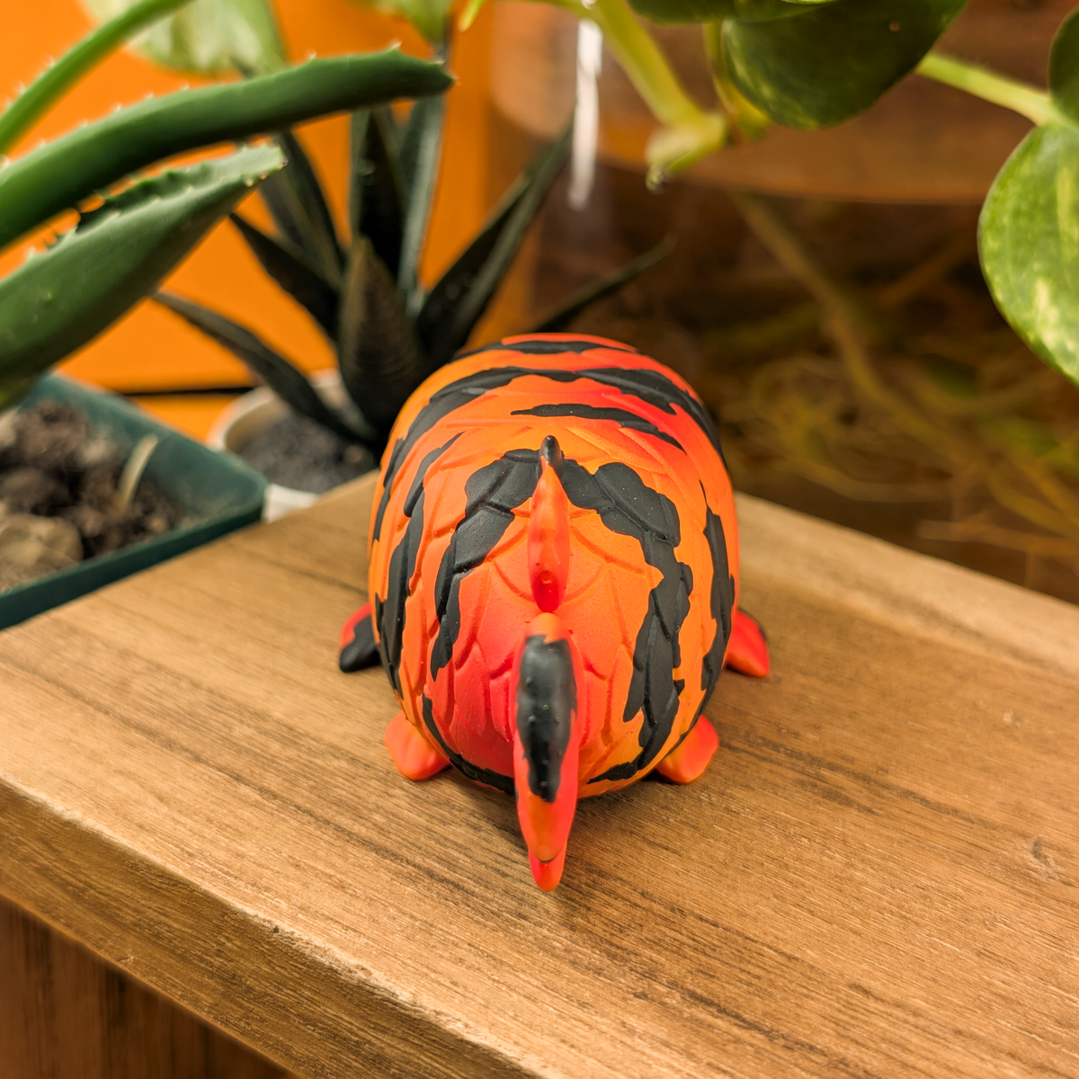 Tiger Arowy · Standard