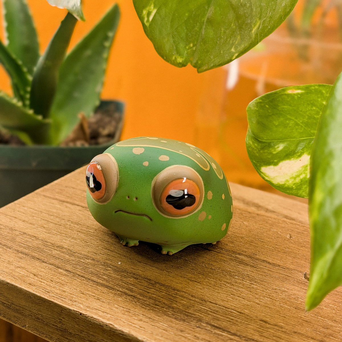 Pebble RainFrog · Pocket