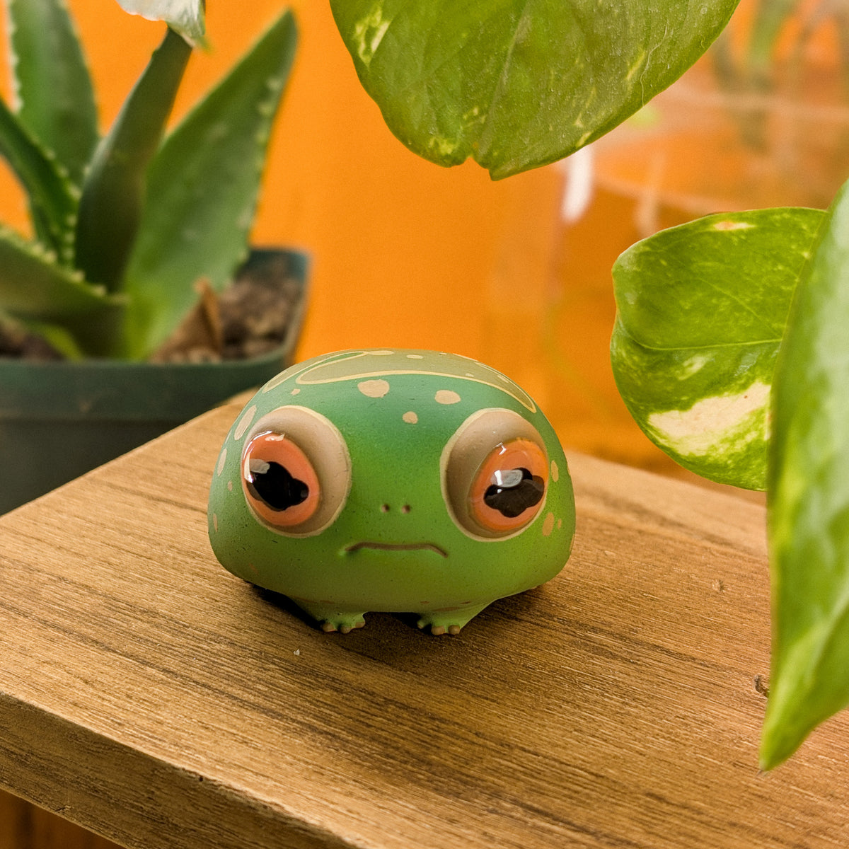 Pebble RainFrog · Pocket