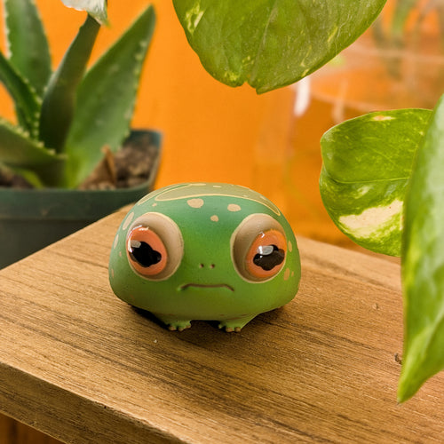 Pebble RainFrog · Pocket