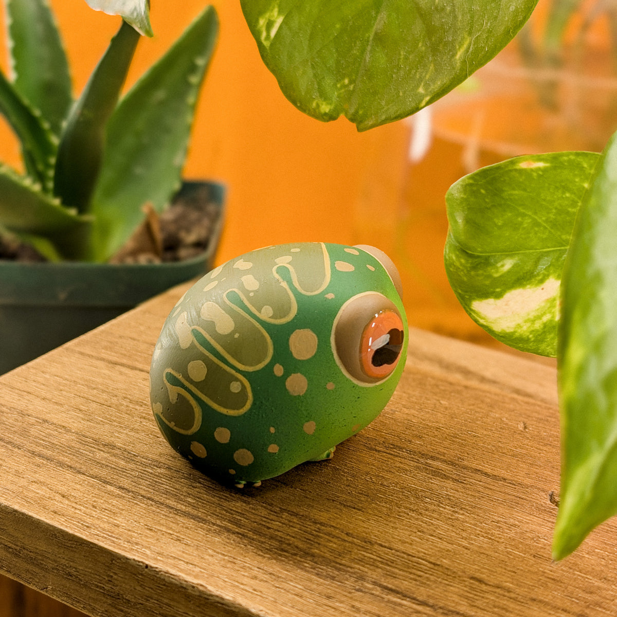 Pebble RainFrog · Pocket