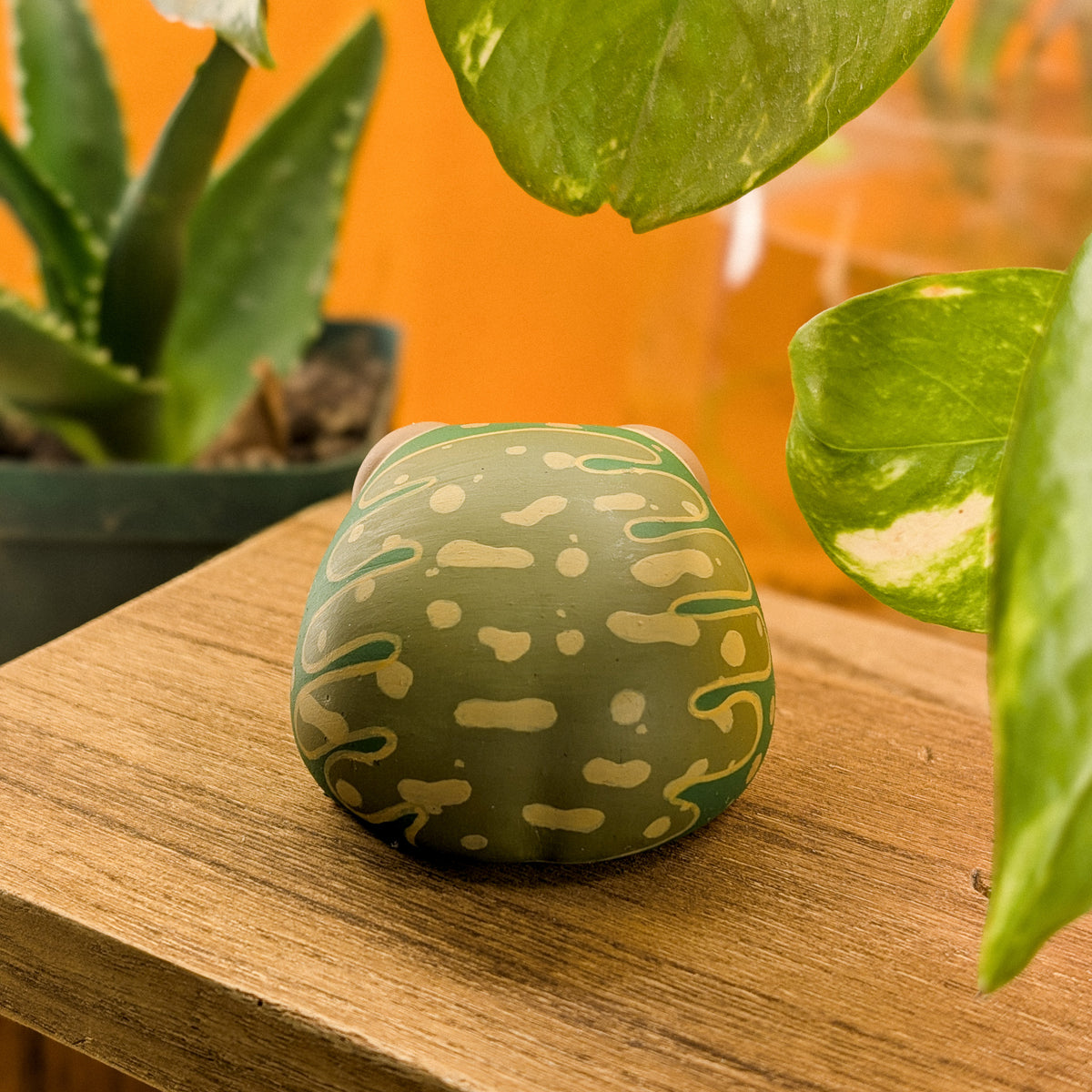 Pebble RainFrog · Pocket