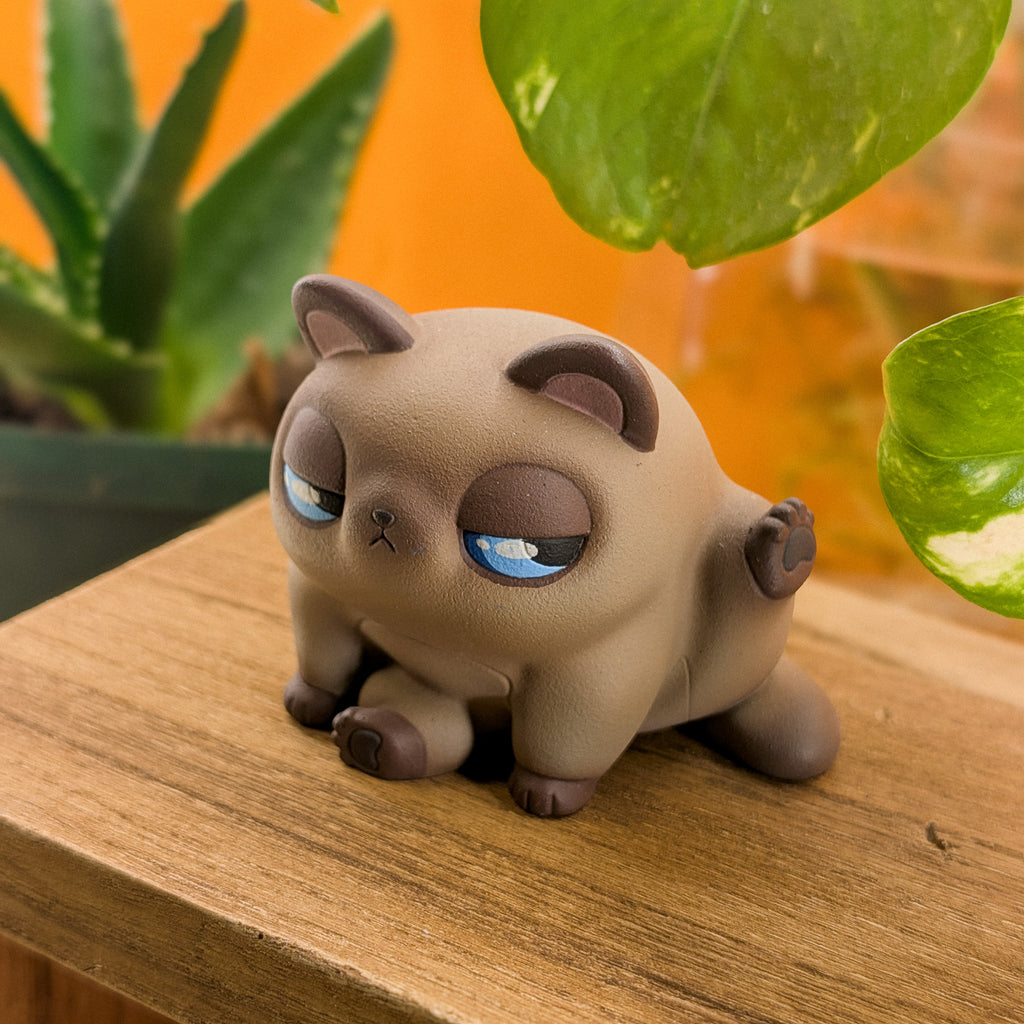 Furrnado Siamese · Standard