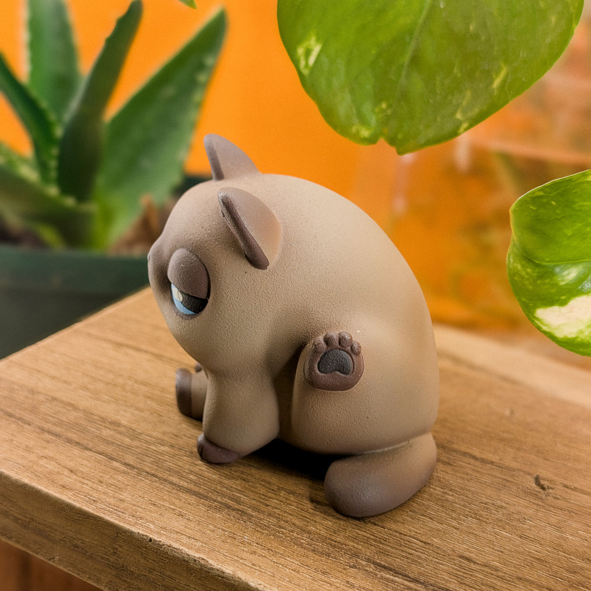 Furrnado Siamese · Standard