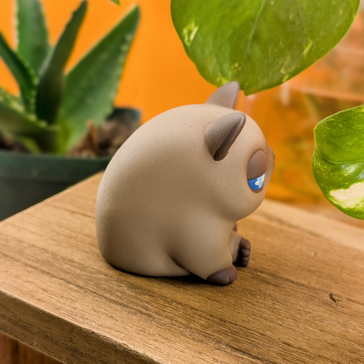 Furrnado Siamese · Standard