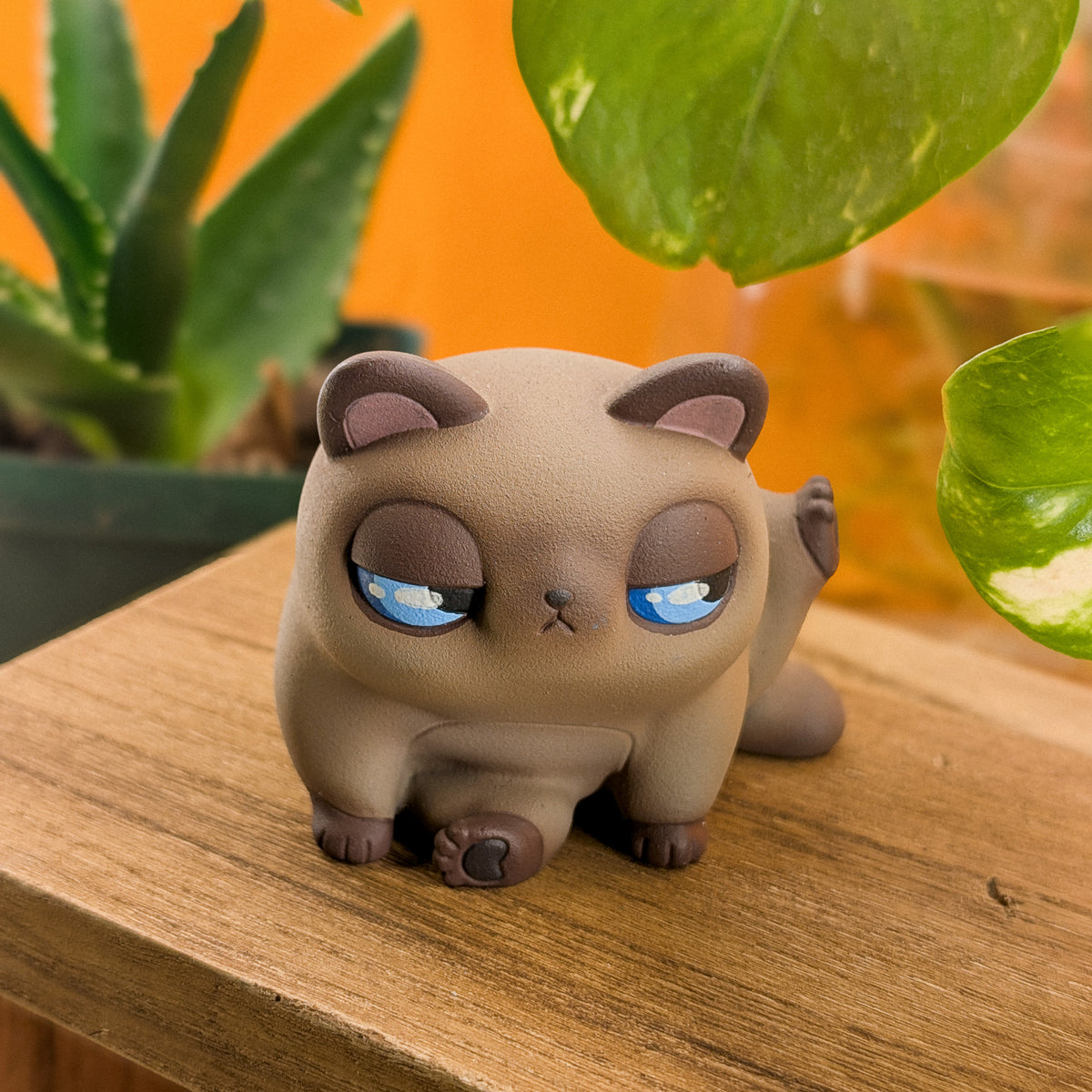 Furrnado Siamese · Standard