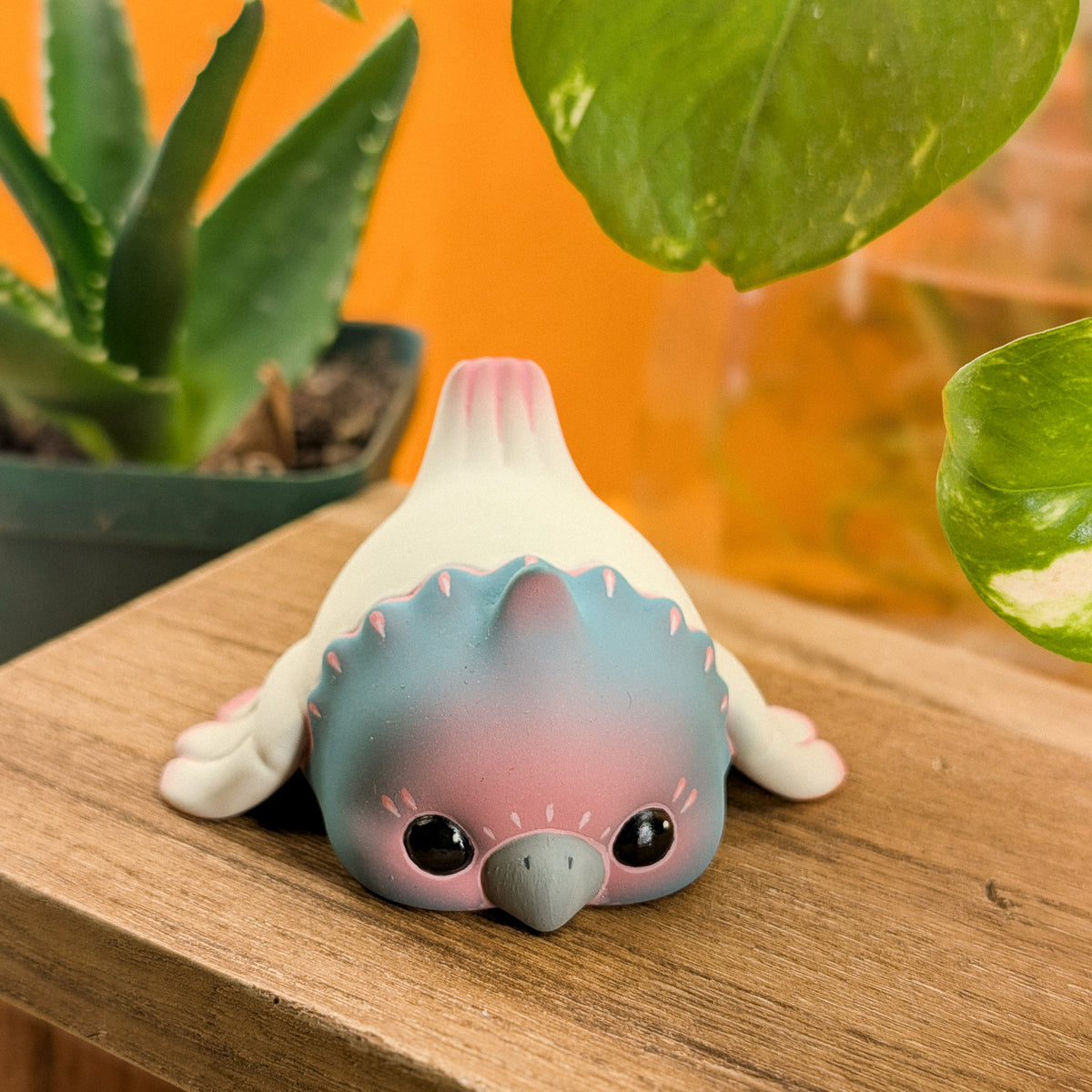 Snug Pink Shade · Pocket