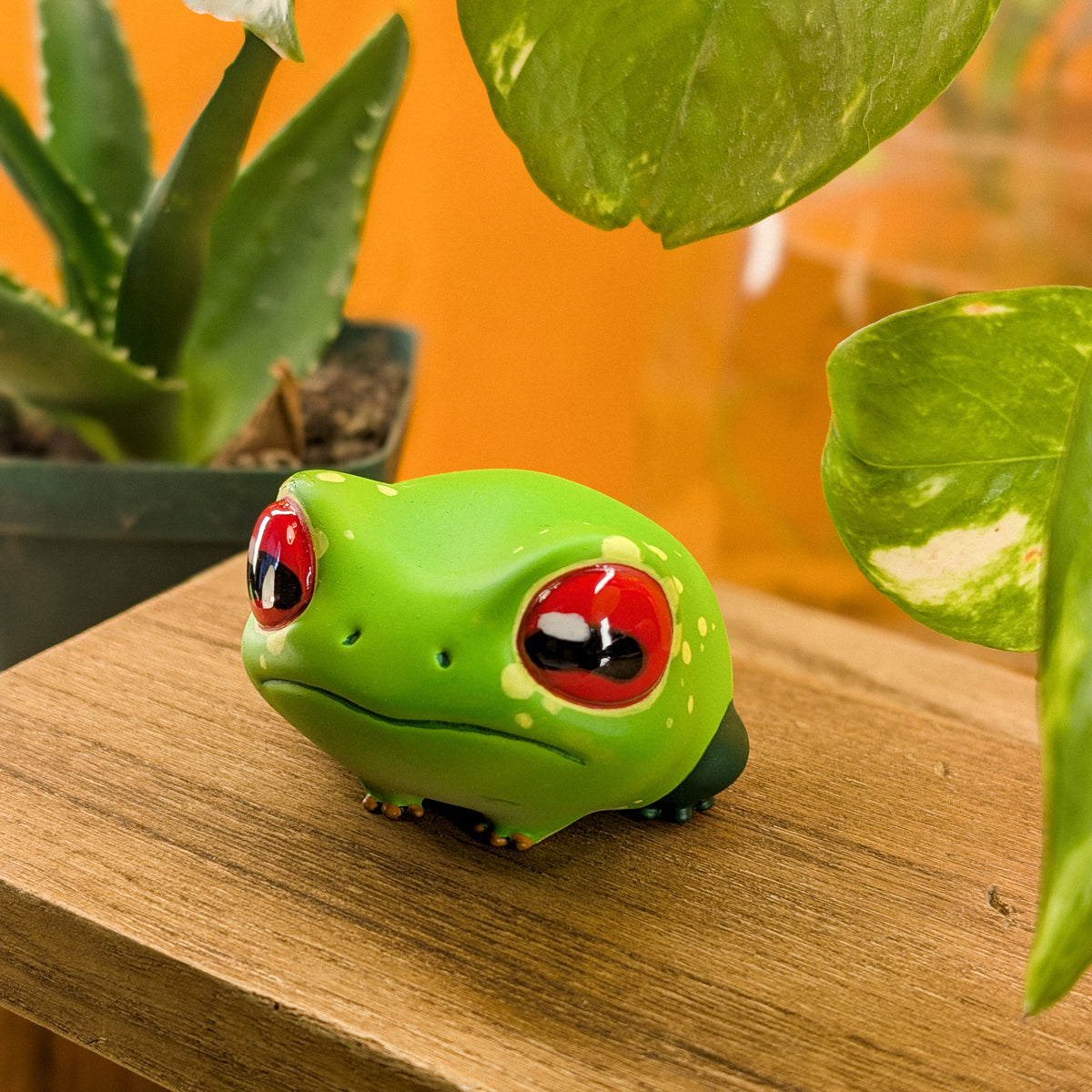 Dewy TreeFrog · Pocket